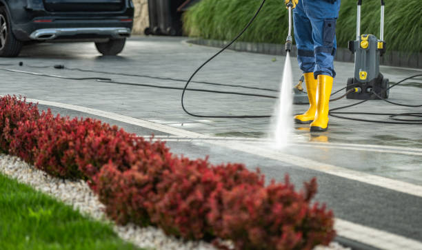 Best Dumpster Area Cleaning  in Bayport, NY